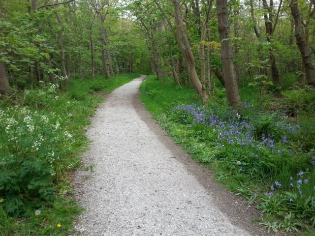 HWK Texel 064.jpg